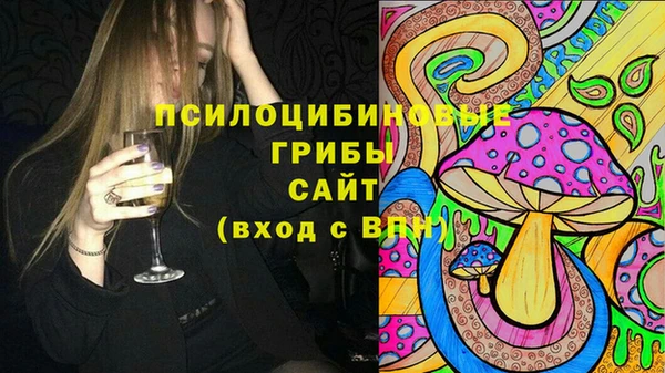 стафф Бородино